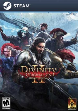 خرید بازی Divinity Original Sin 2 Definitive Edition برای PC کامپیوتر