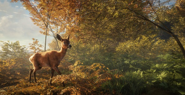 Hunter-1 خرید بازی The Hunter Call of the Wild برای کامپیوتر