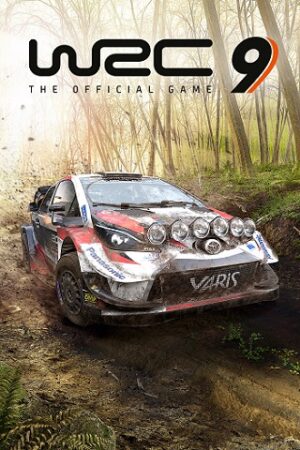 خرید بازی WRC 9 DELUXE EDITION برای کامپیوتر